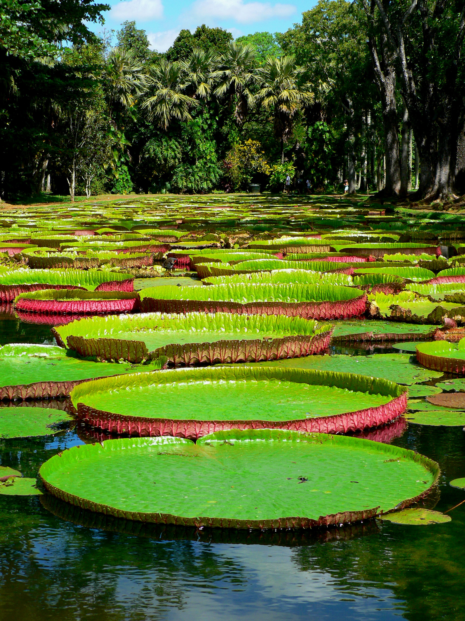 Mauritius