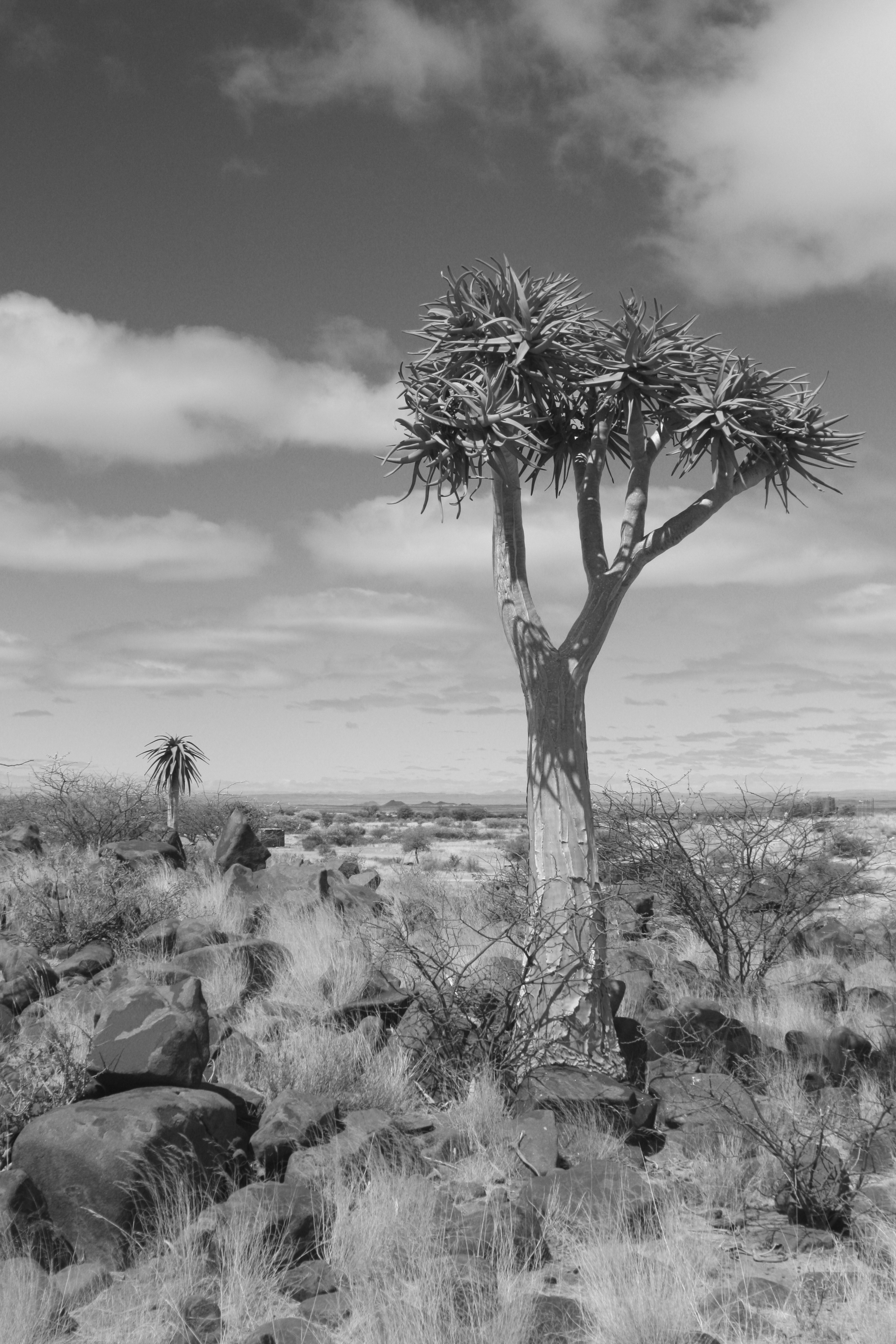 Namibia