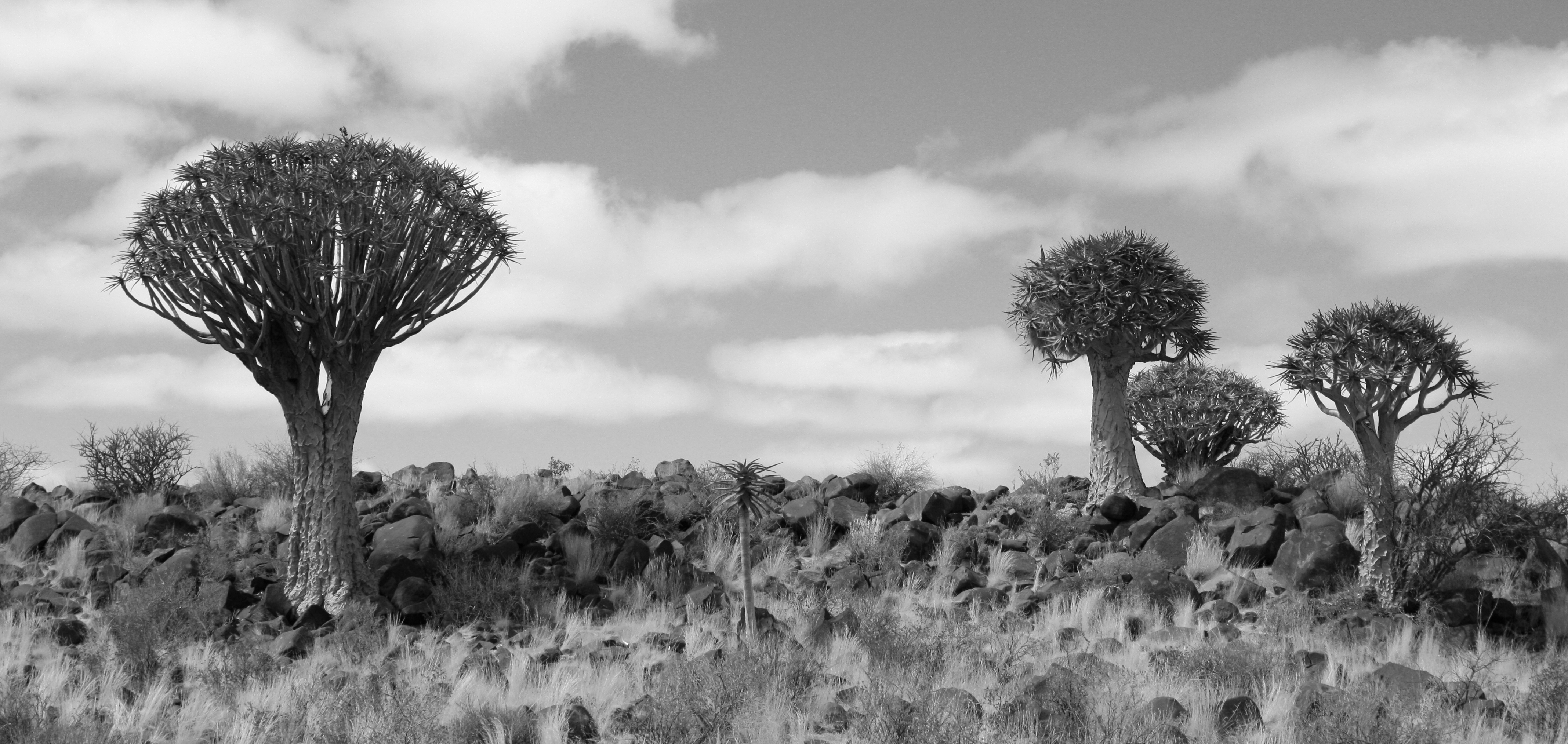 Namibia