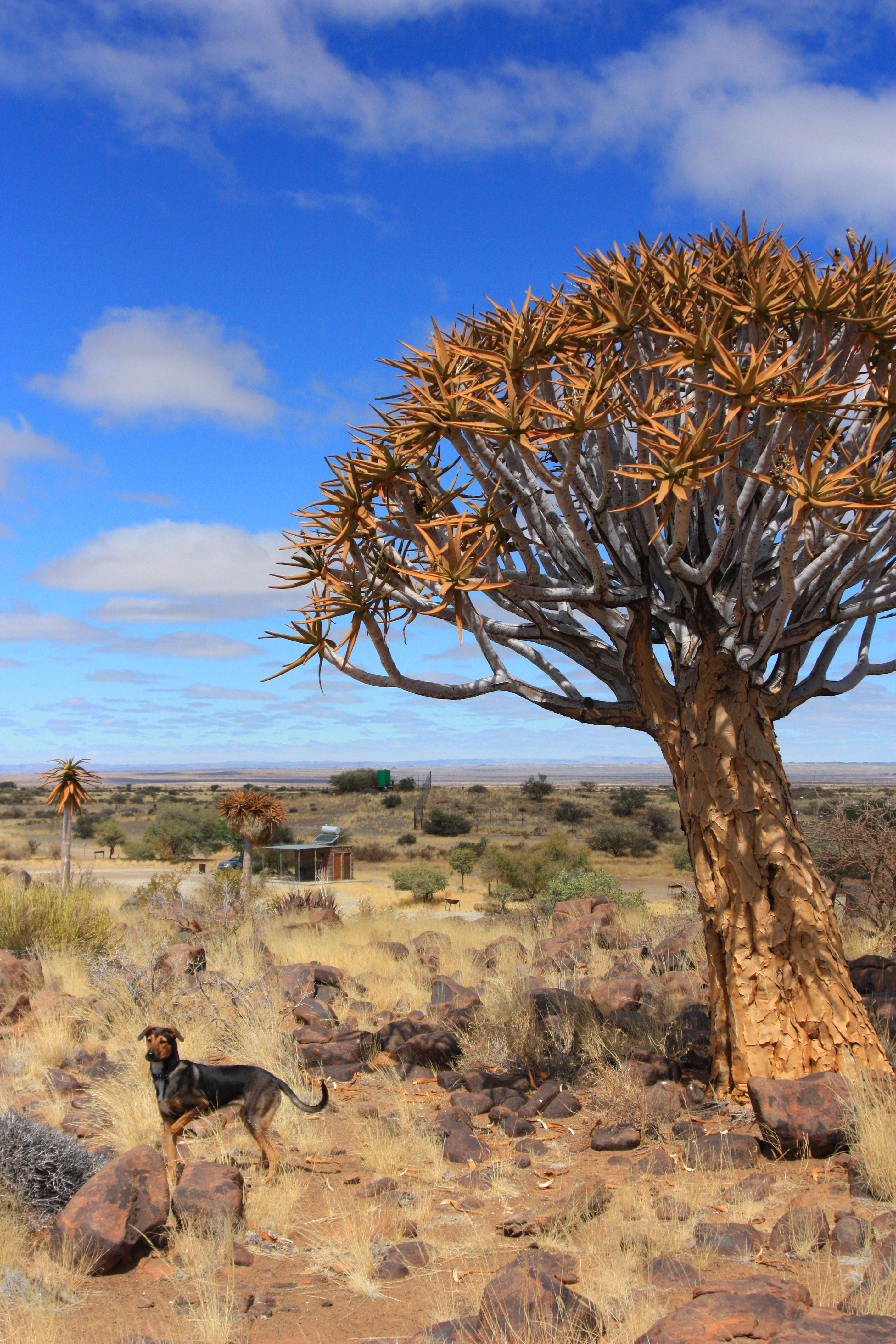 Namibia