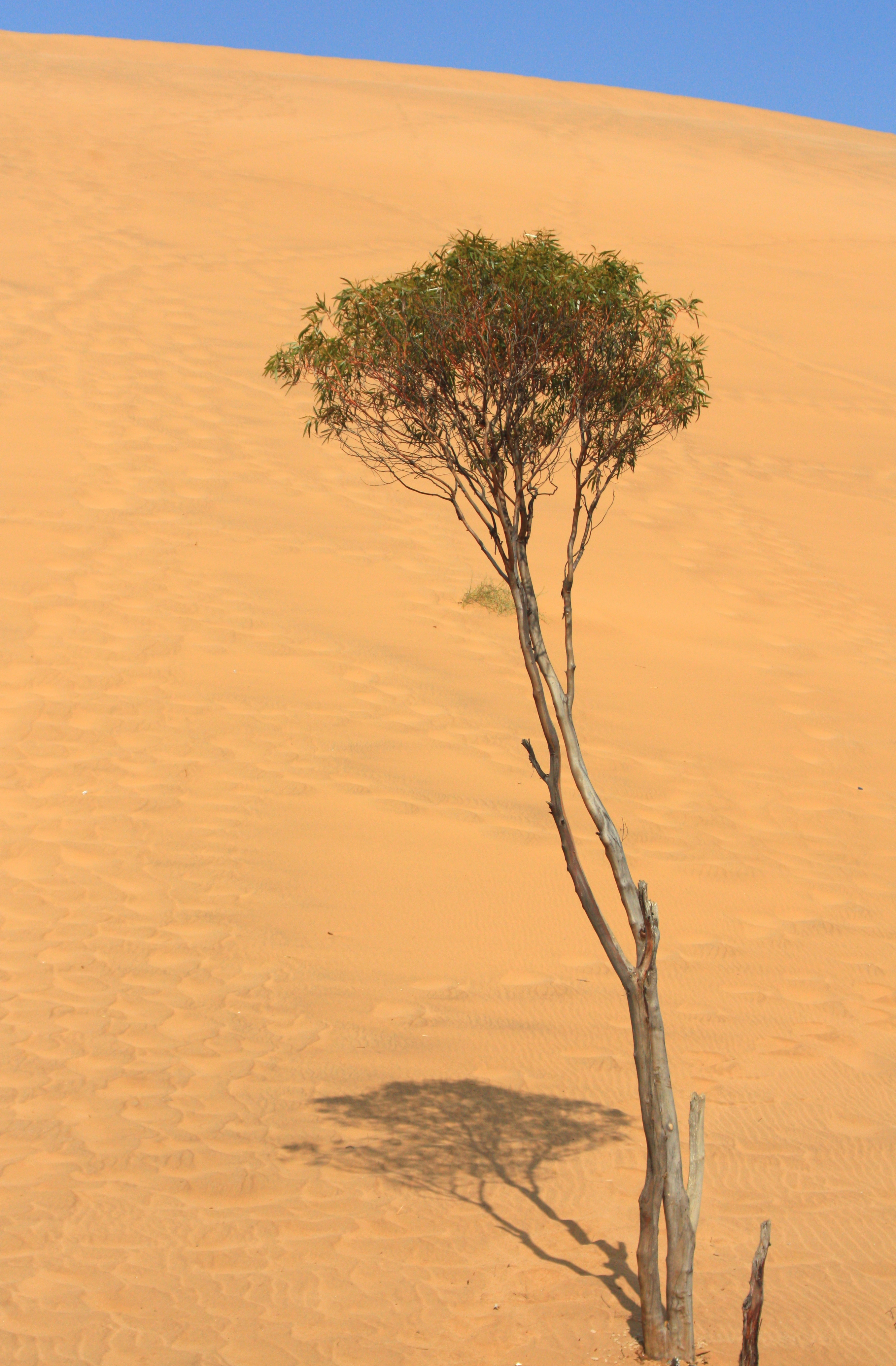 Namibia