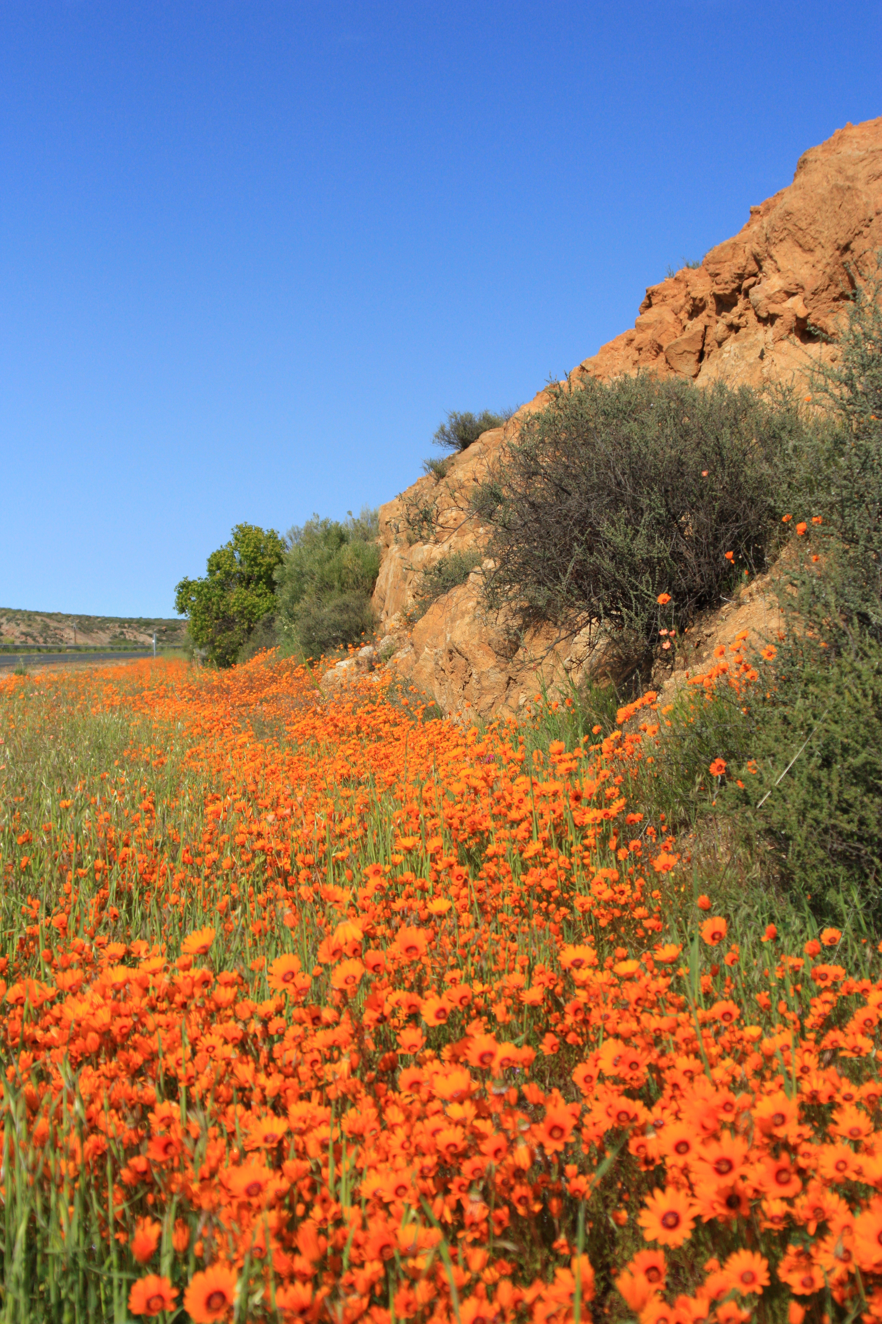 Namibia