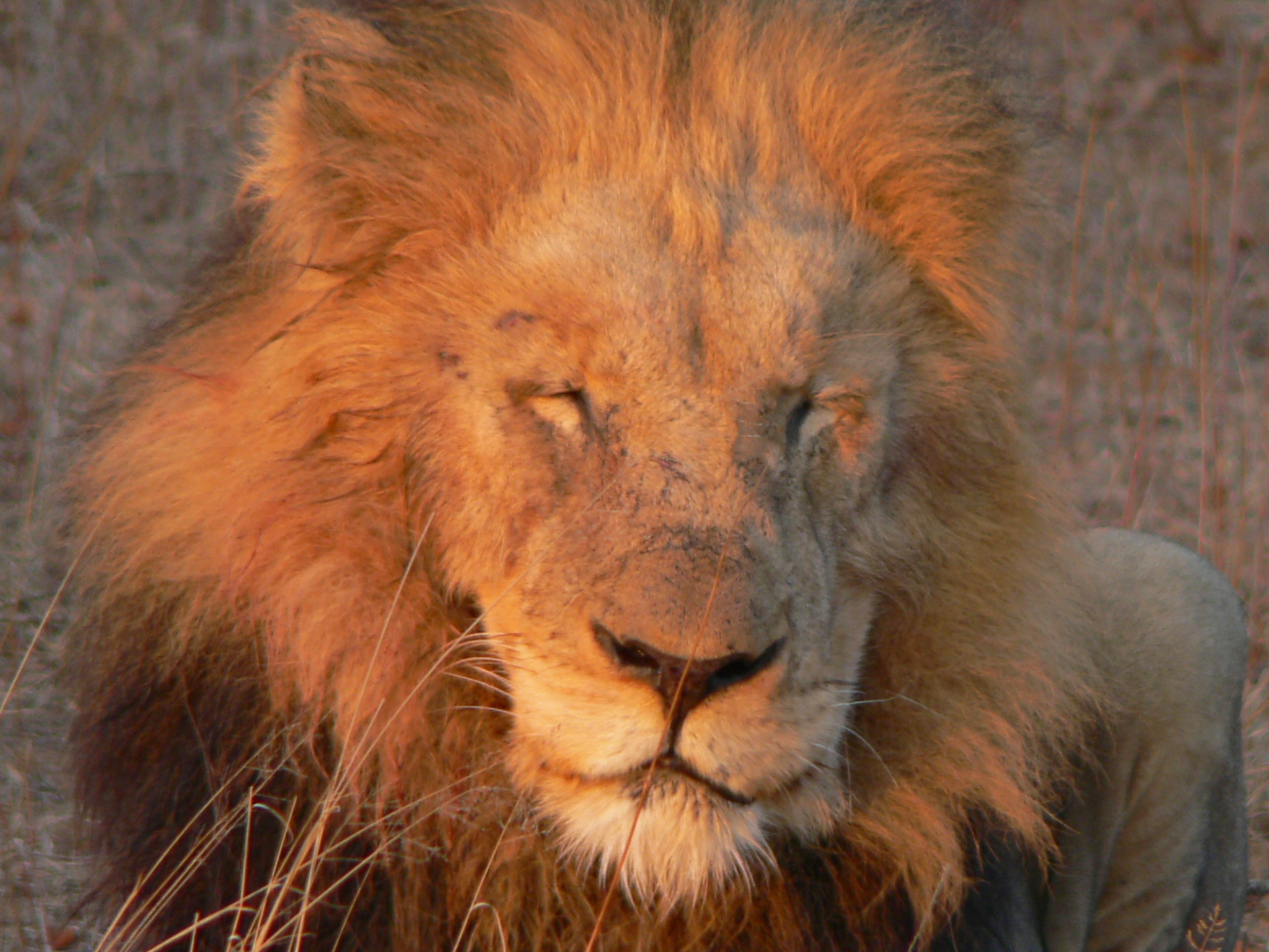 South Africa