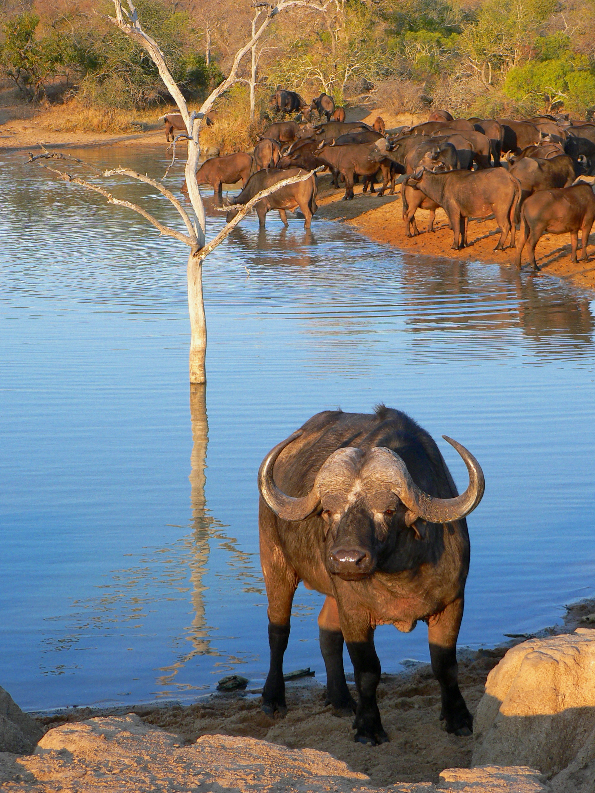 South Africa